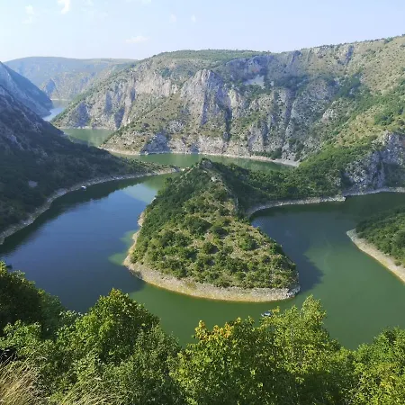 Novak Zlatar
